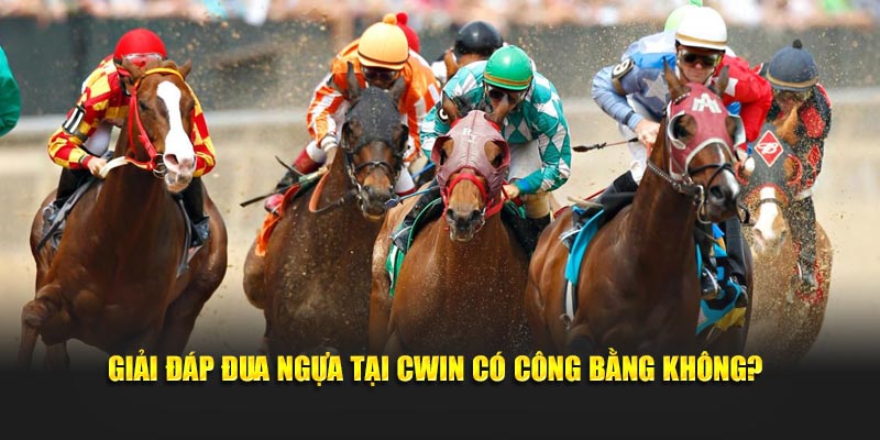 Giải đáp đua ngựa có công bằng không?