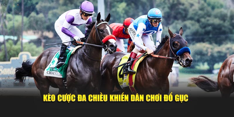 Kèo cược đa chiều khiến dân chơi đổ gục