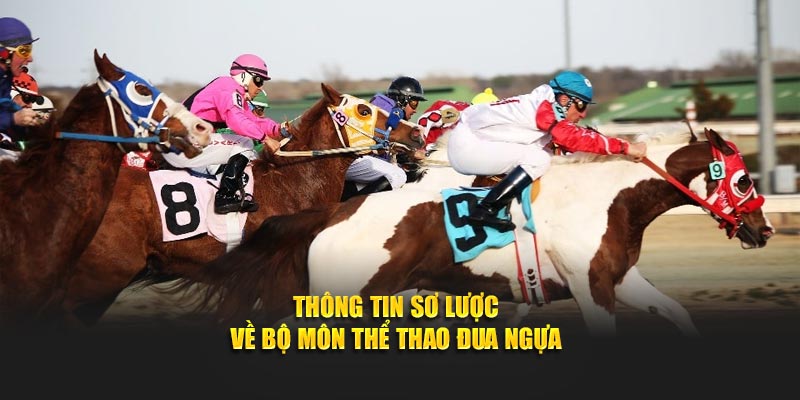 Thông tin sơ lược về bộ môn thể thao đua ngựa