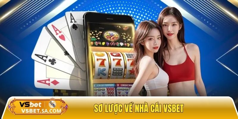 Giới thiệu sơ lược về nhà cái cá cược Vsbet