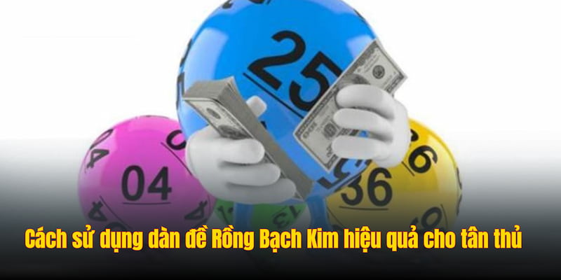 Cách sử dụng dàn đề Rồng Bạch Kim hiệu quả cho tân thủ